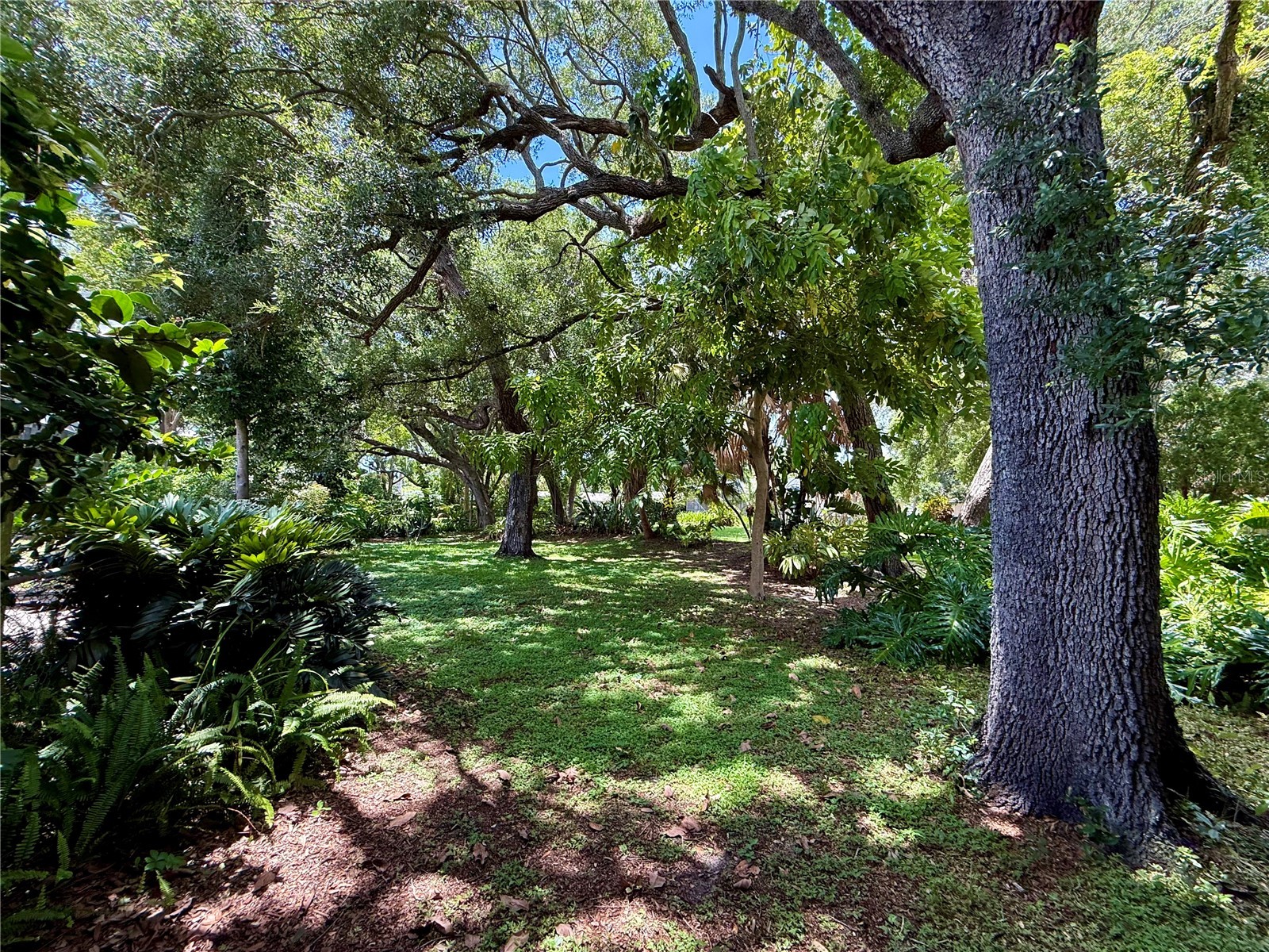 918 Bay Breeze Terrace Largo FL 33770 TB8526639 image84