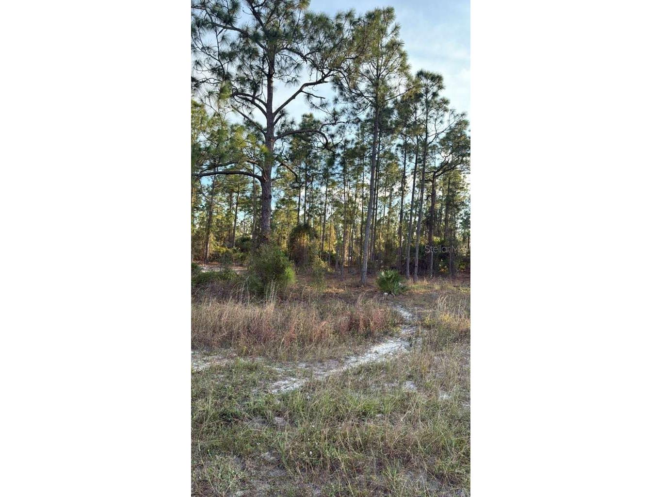 918 Belmont Street E Lehigh Acres FL 33974 TB8487798 image1
