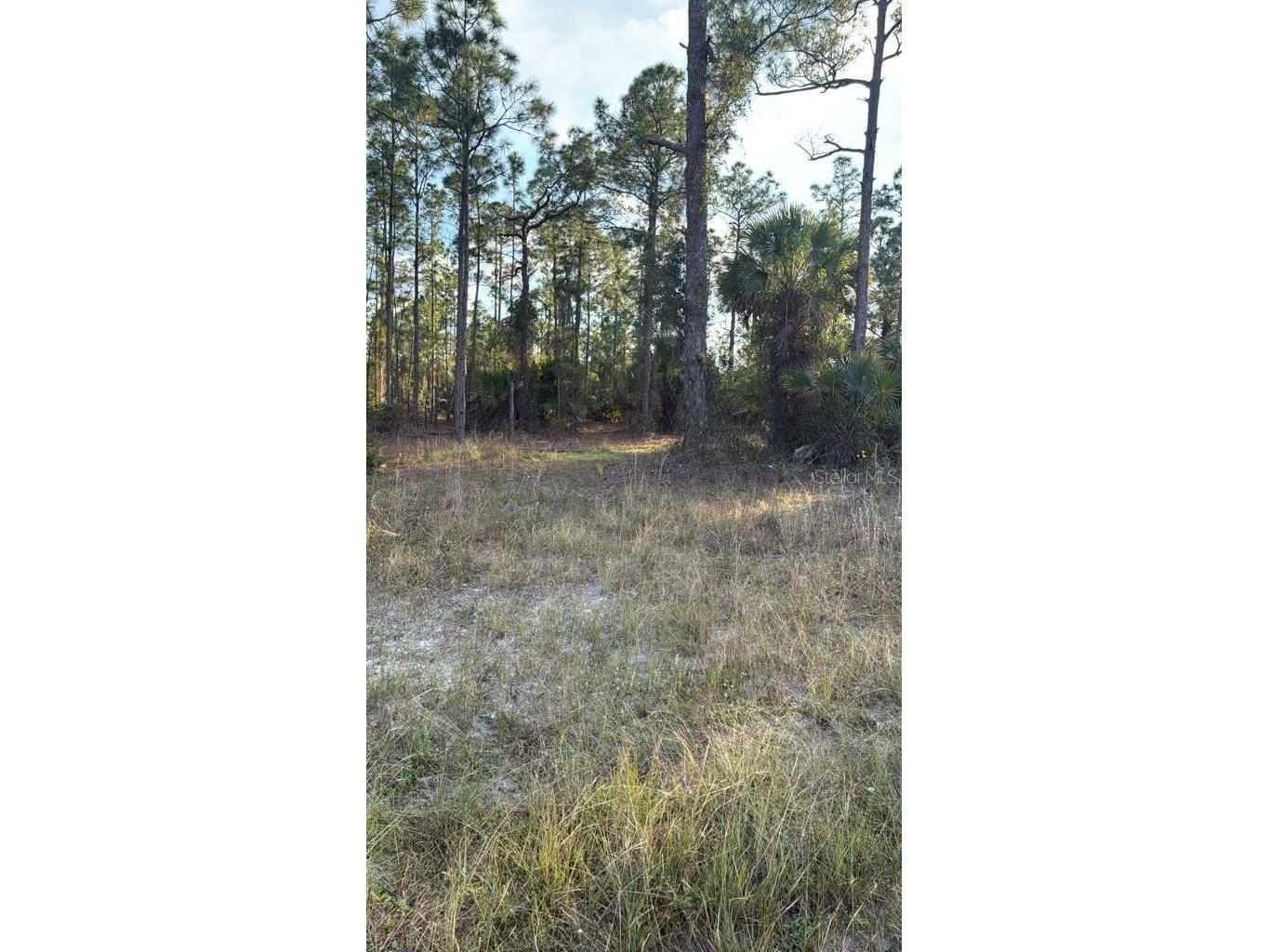 918 Belmont Street E Lehigh Acres FL 33974 TB8487798 image2