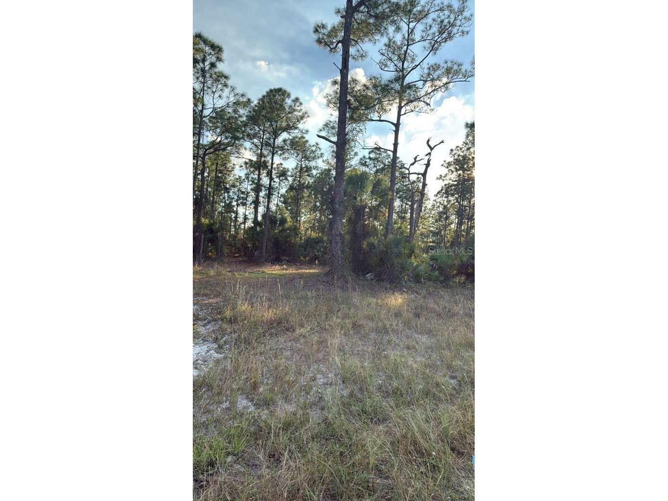 918 Belmont Street E Lehigh Acres FL 33974 TB8487798 image3