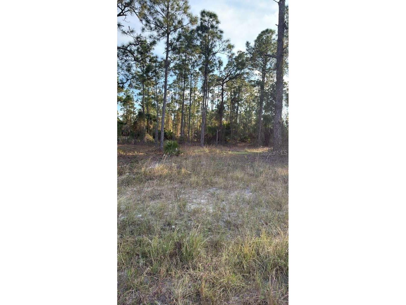 918 Belmont Street E Lehigh Acres FL 33974 TB8487798 image4