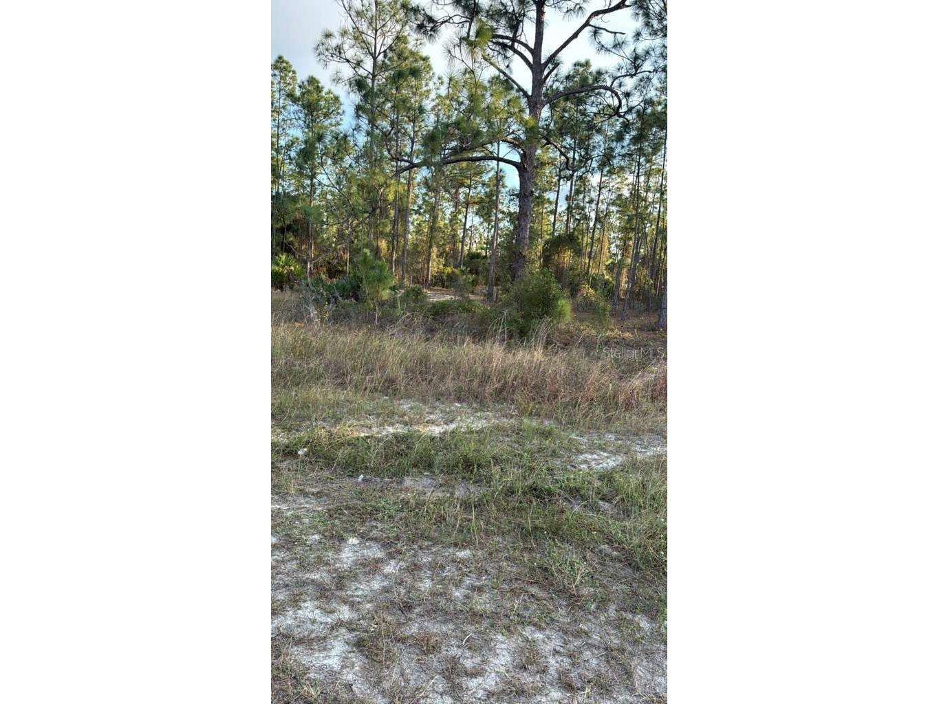 918 Belmont Street E Lehigh Acres FL 33974 TB8487798 image5