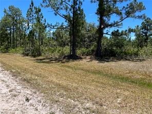 918 Japonica Drive Indian Lake Estates FL 33855 TB8439937 image5