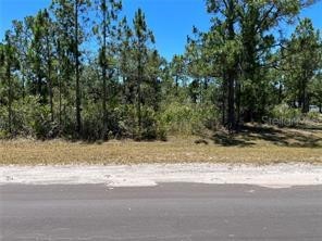 918 Japonica Drive Indian Lake Estates FL 33855 TB8439937 image6