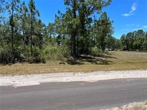 918 Japonica Drive Indian Lake Estates FL 33855 TB8439937 image7