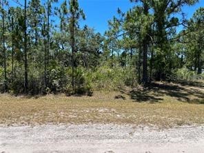 918 Japonica Drive Indian Lake Estates FL 33855 TB8439937 image8