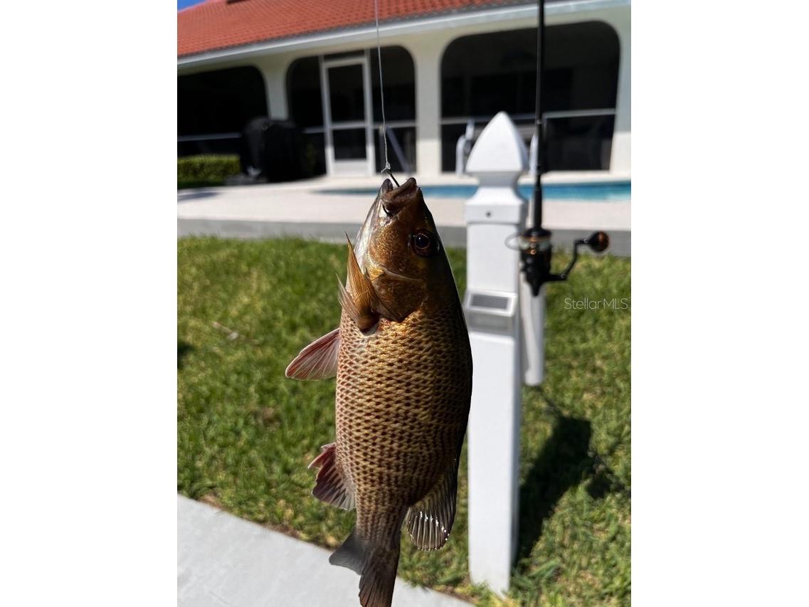 918 Messina Drive Punta Gorda FL 33950 - LADY FISH BAY C7522623 image59