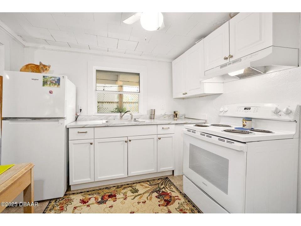 918 N Wild Olive Avenue Daytona Beach FL 32118 FC315570 image34