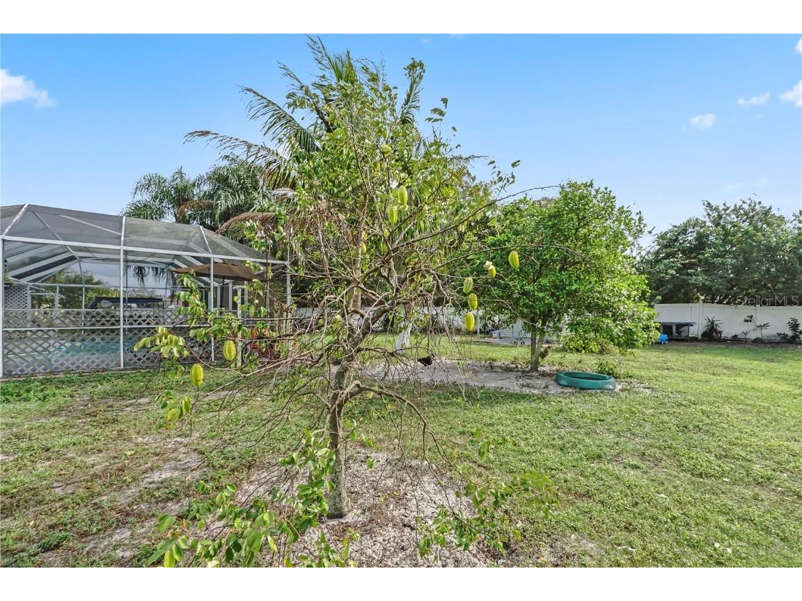 918 San Paulo Way Kissimmee FL 34758 S5135639 image30