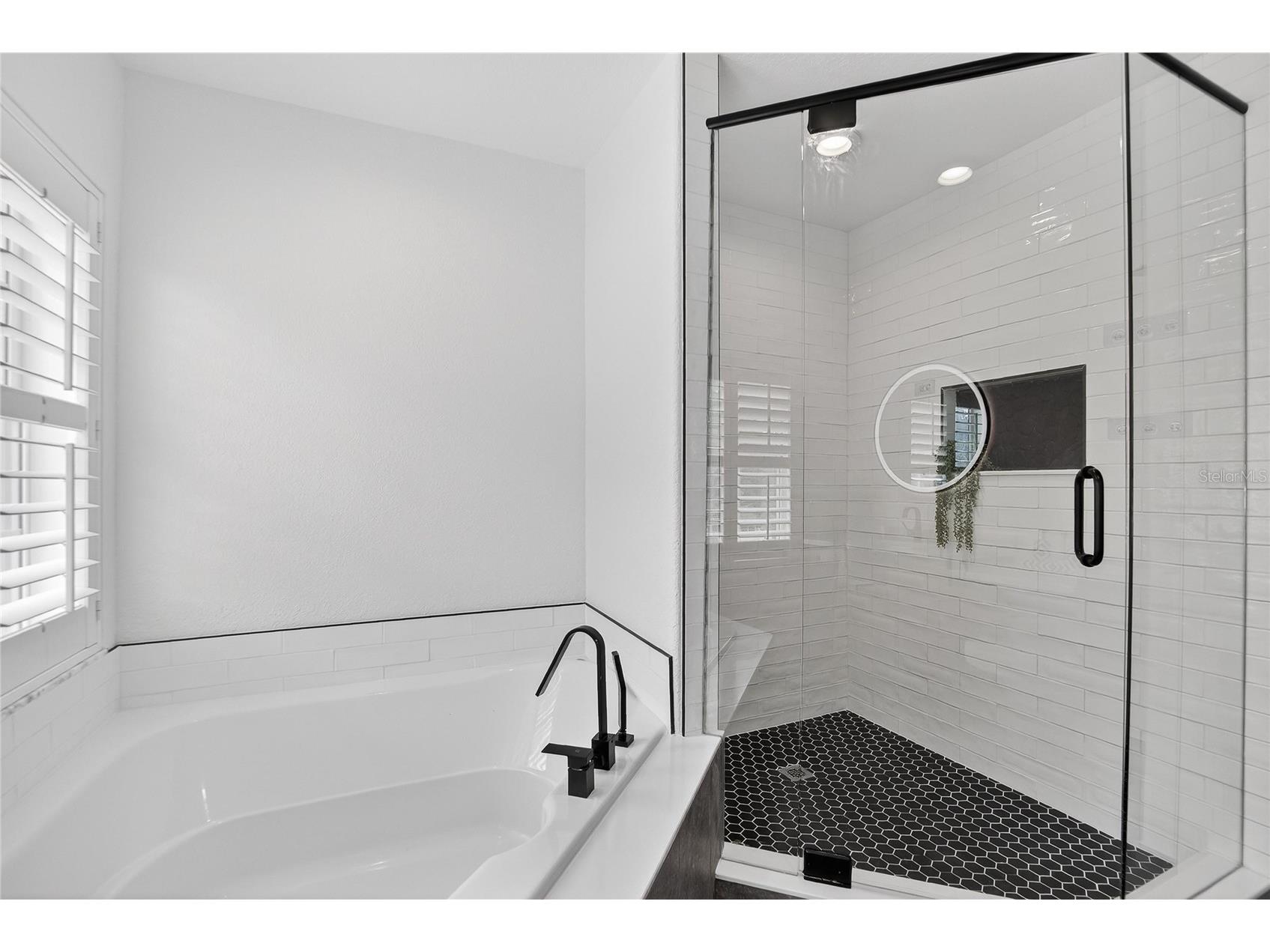 918 Woodbridge Court Safety Harbor FL 34695 TB8481400 image37