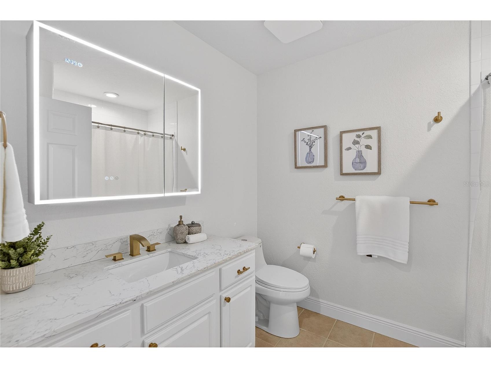 918 Woodbridge Court Safety Harbor FL 34695 TB8481400 image48