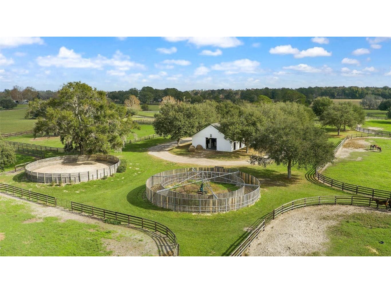 9180 NW 160th Avenue Morriston FL 32668 OM650237 image1