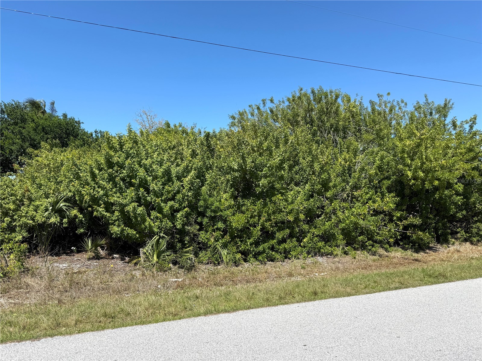 9180 Spring Circle Port Charlotte FL 33981 A4687011 image3