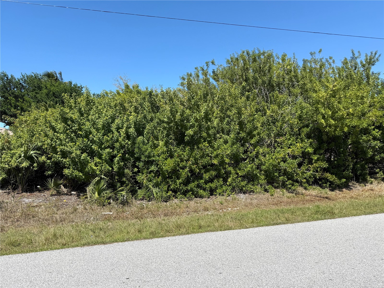 9180 Spring Circle Port Charlotte FL 33981 A4687011 image8