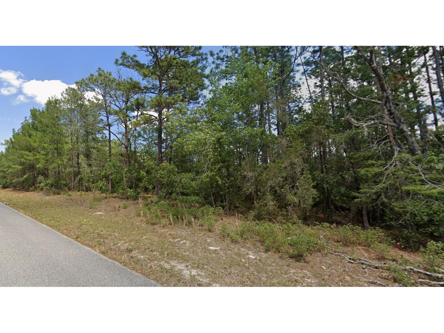 9181 N Satinwood Terrace Citrus Springs FL 34433 TB8466594 image1