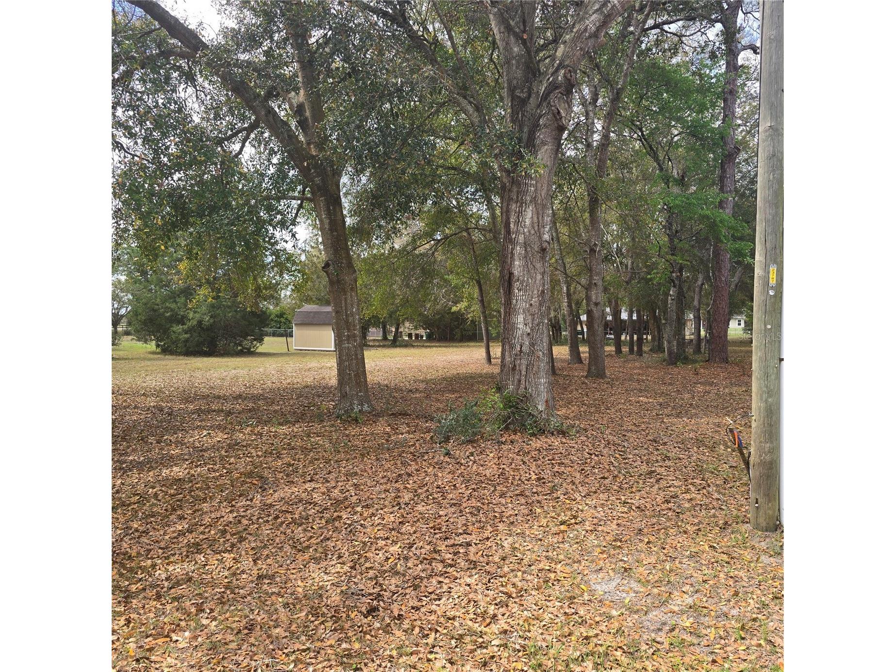 SE 92nd Avenue Summerfield FL 34491 R4910847 image1
