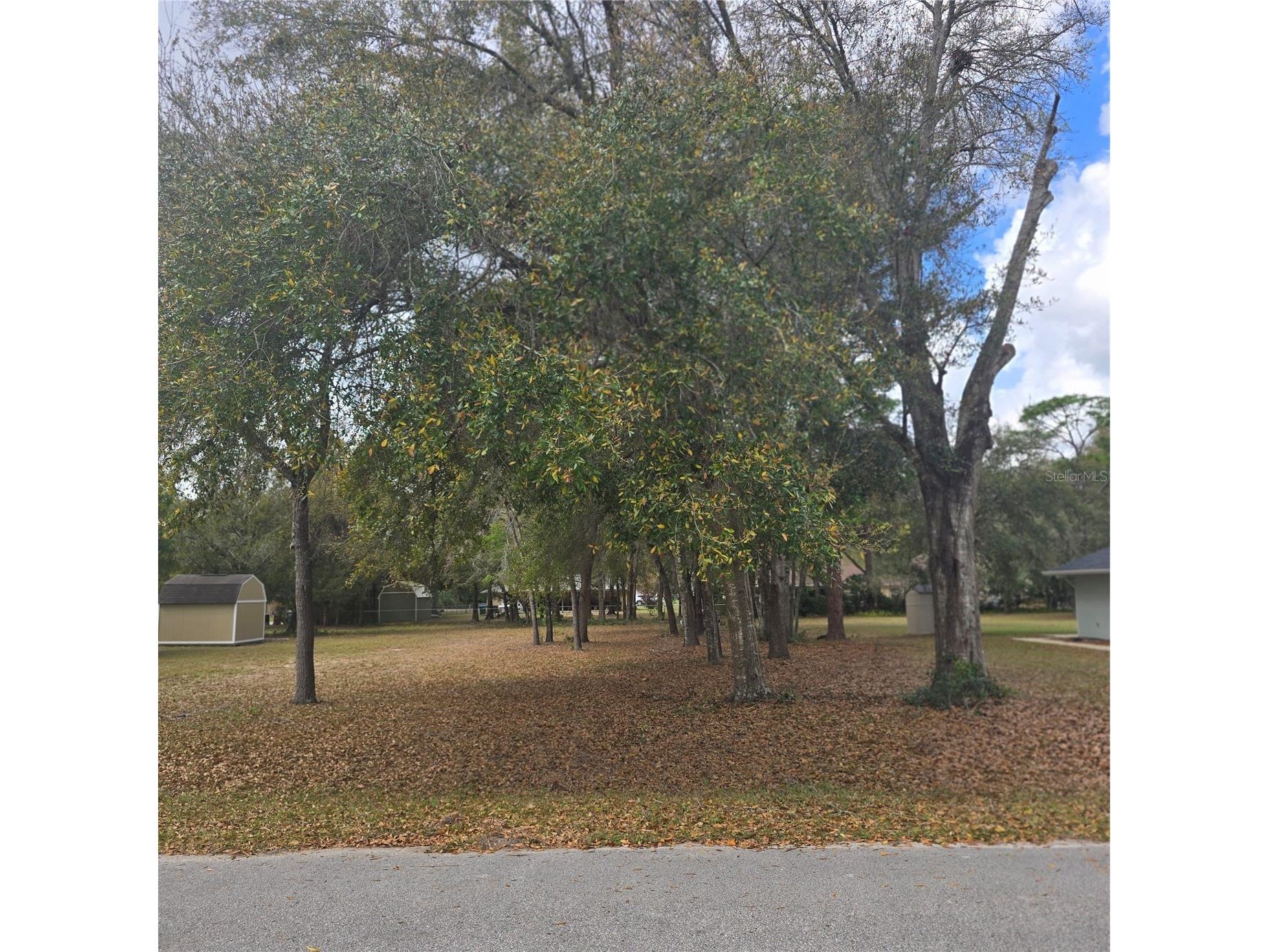 SE 92nd Avenue Summerfield FL 34491 R4910847 image2