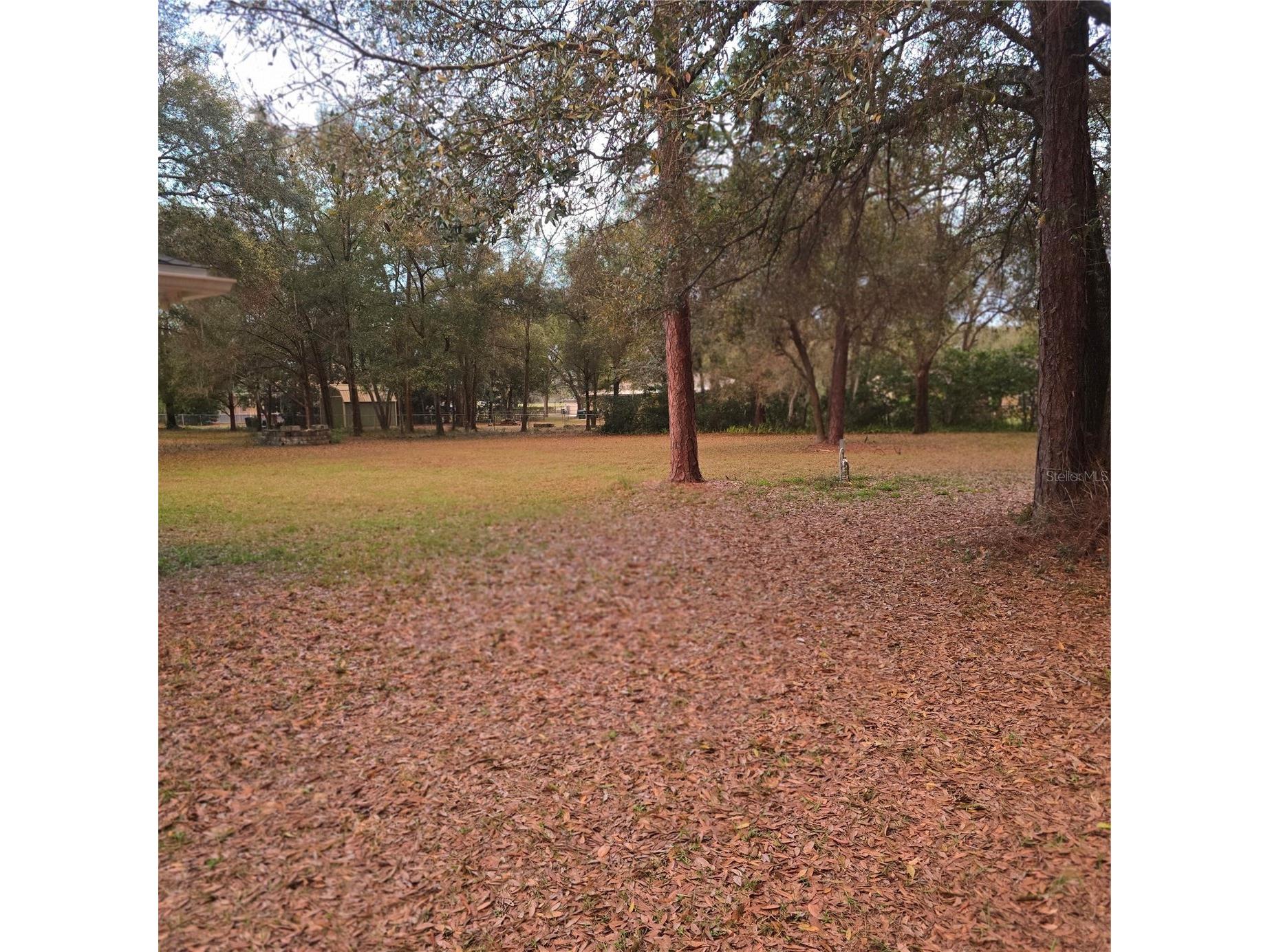 SE 92nd Avenue Summerfield FL 34491 R4910847 image3