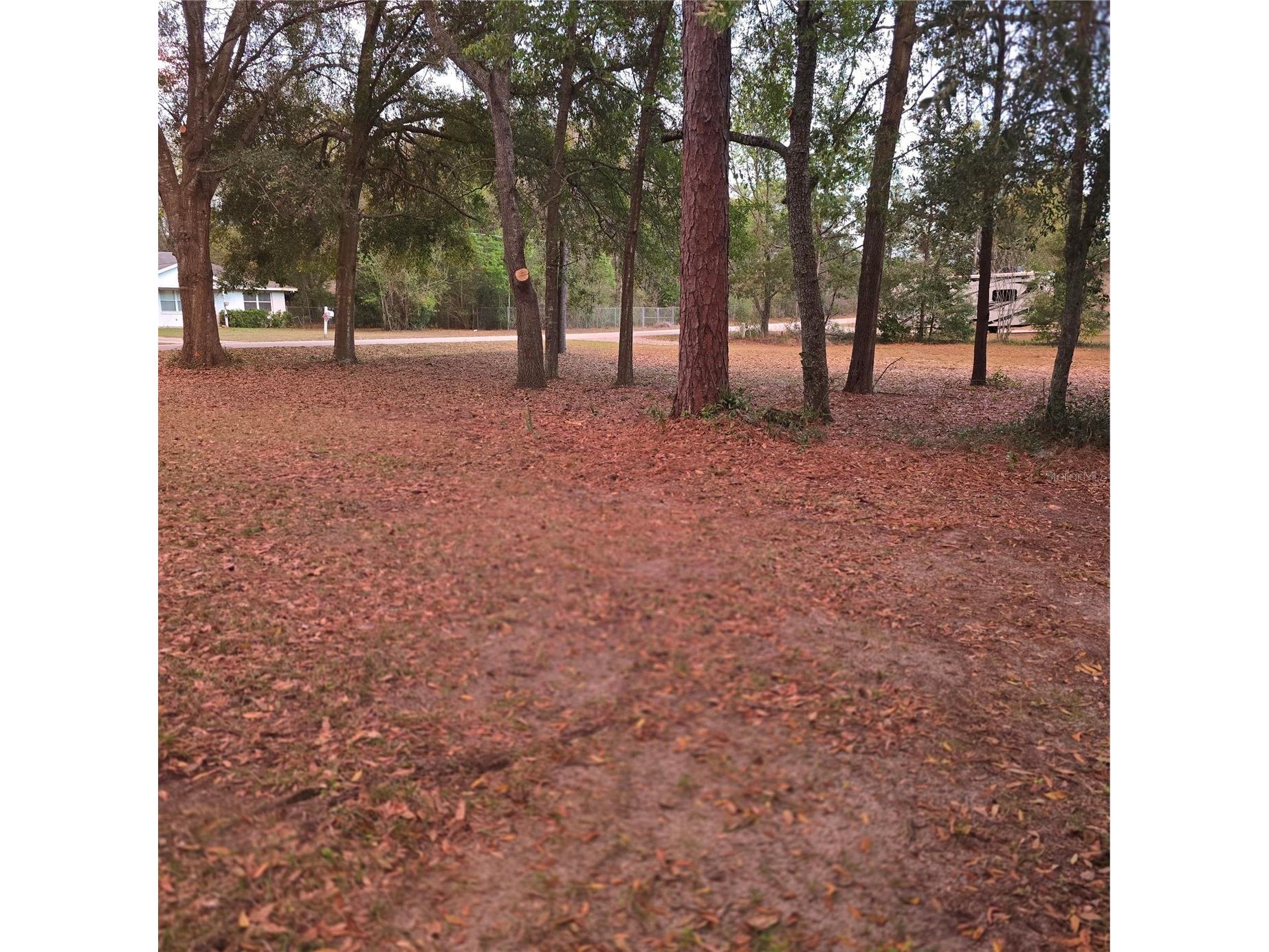 SE 92nd Avenue Summerfield FL 34491 R4910847 image4