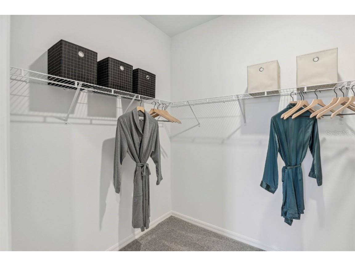 9182 Harris Hawk Drive Leesburg FL 34788 O6341617 image35