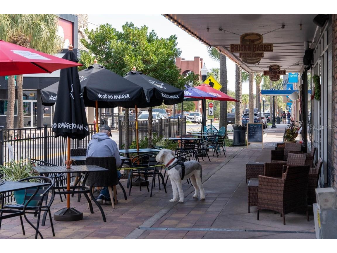 9182 Harris Hawk Drive Leesburg FL 34788 O6341617 image39