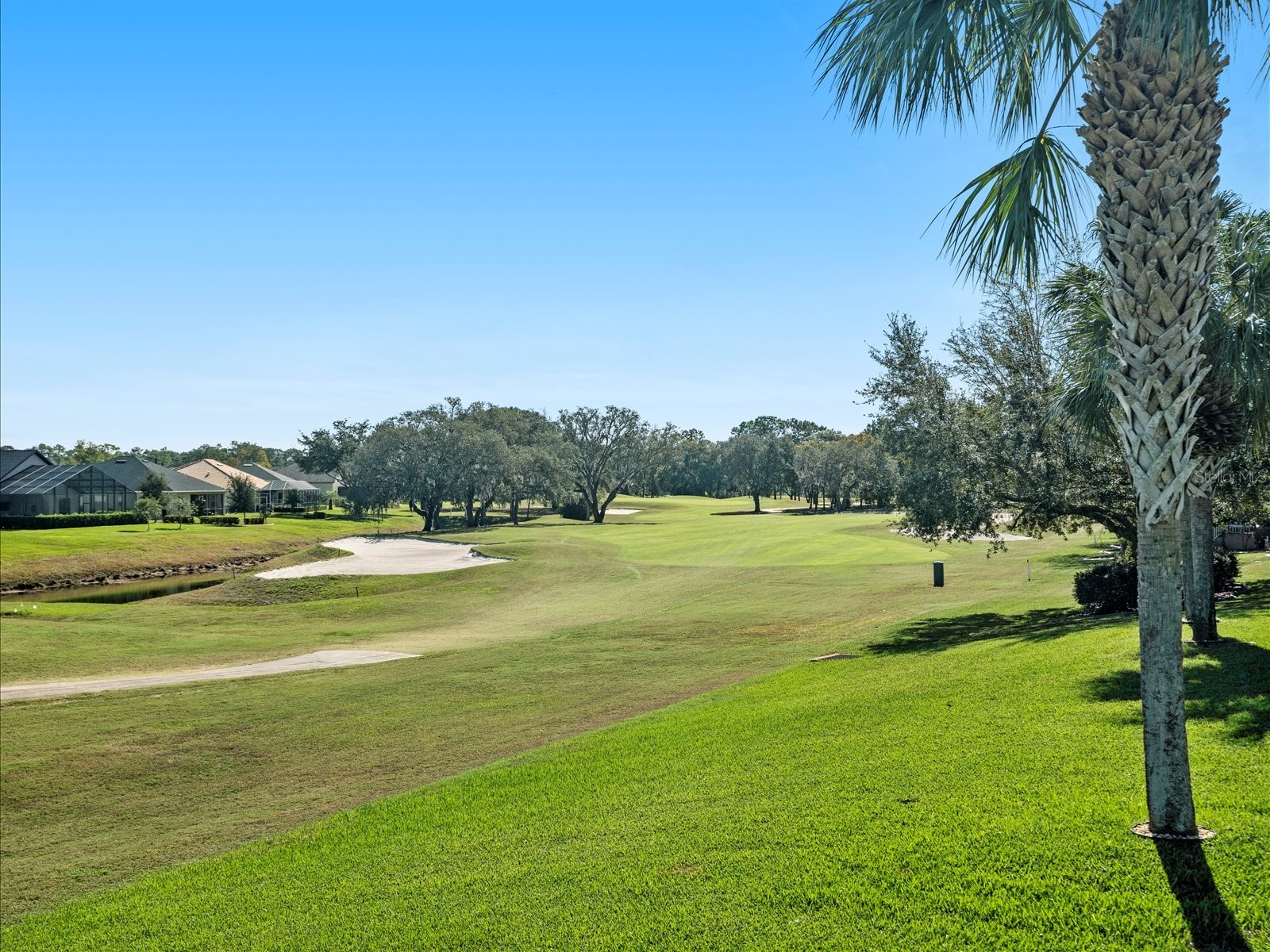 9182 Tarleton Circle Weeki Wachee FL 34613 W7885490 image21
