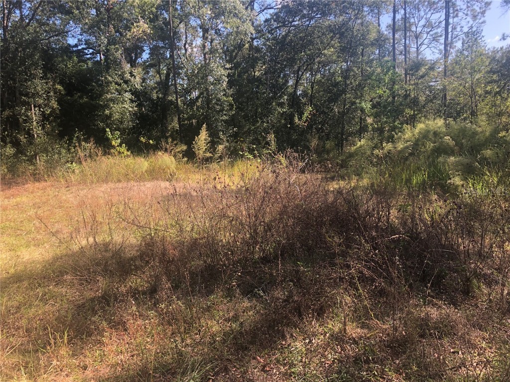 9183 SW 193rd Circle Dunnellon FL 34432 OM648572 image1