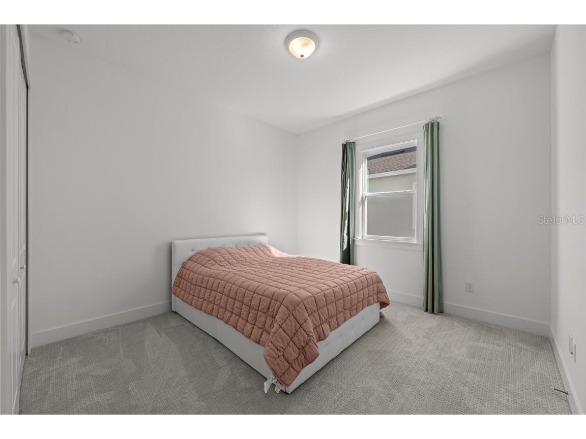 9185 Sanders Tree Loop Wesley Chapel FL 33545 TB8447575 image20