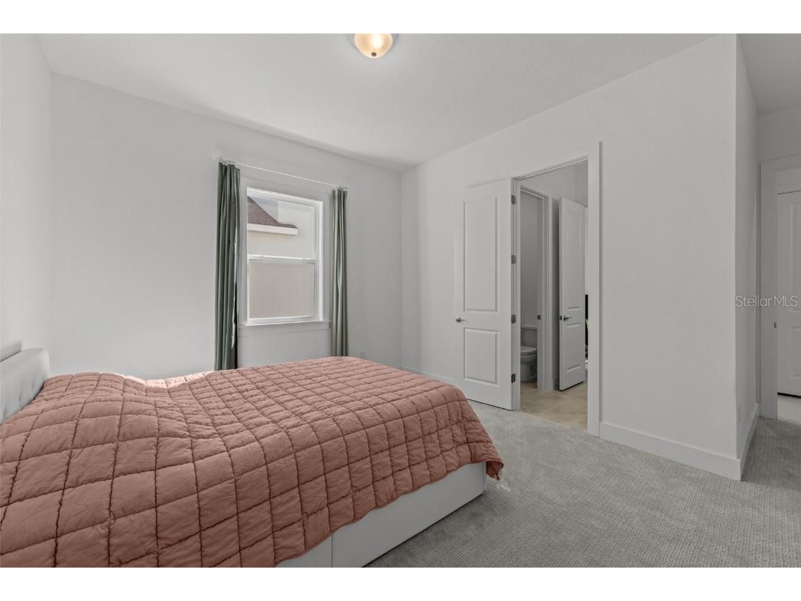 9185 Sanders Tree Loop Wesley Chapel FL 33545 TB8447575 image21