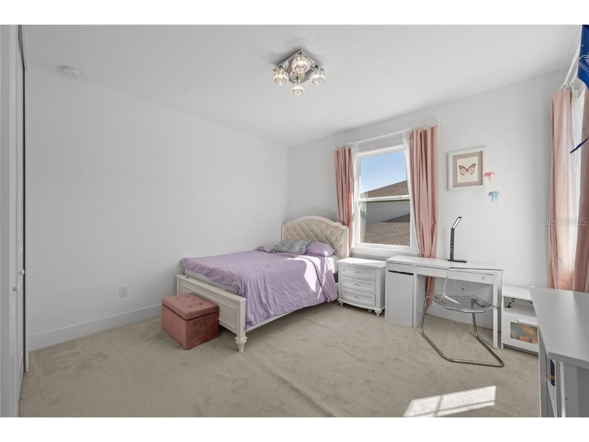 9185 Sanders Tree Loop Wesley Chapel FL 33545 TB8447575 image31