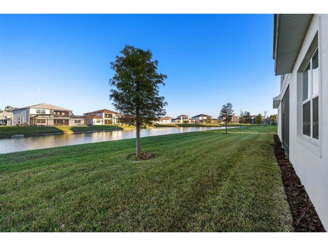 9185 Sanders Tree Loop Wesley Chapel FL 33545 TB8447575 image37