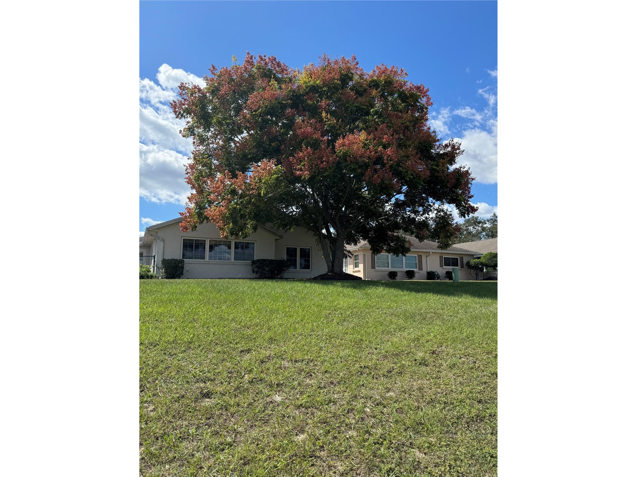 9185 SW 90th Street Ocala FL 34481 OM722115 image41