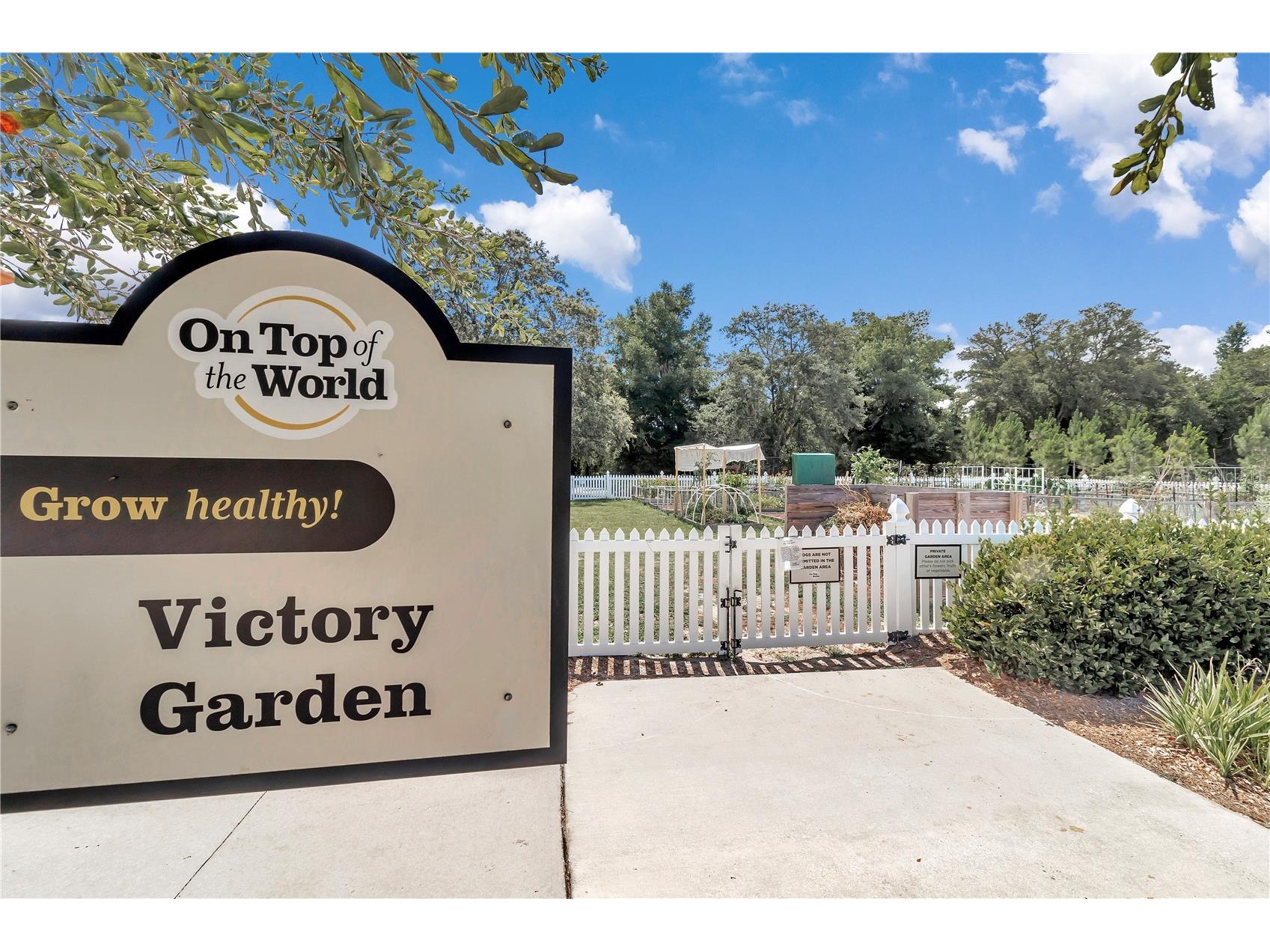 9185 SW 90th Street Ocala FL 34481 OM722115 image59