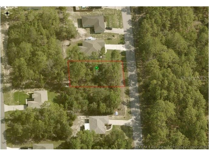 9188 N Satinwood Terrace Citrus Springs FL 34433 OM673557 image1