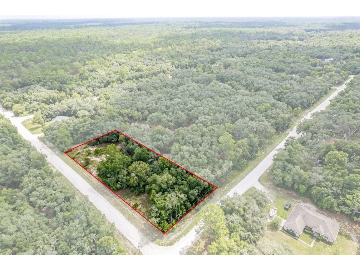 9188 Split Stone Drive Webster FL 33597 W7866834 image1