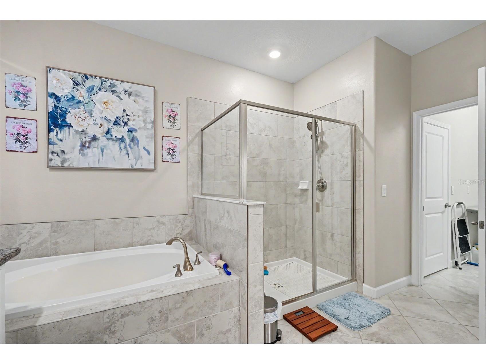9189 Shadyside Lane Land O Lakes FL 34637 TB8532389 image23