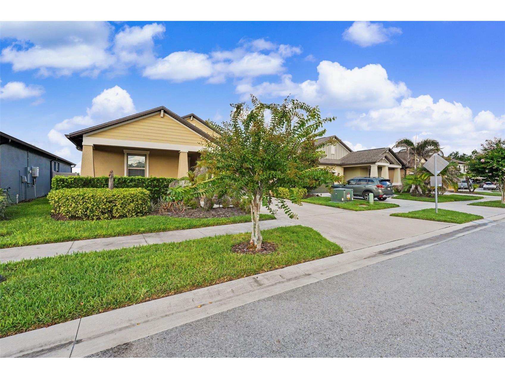 9189 Shadyside Lane Land O Lakes FL 34637 TB8532389 image4