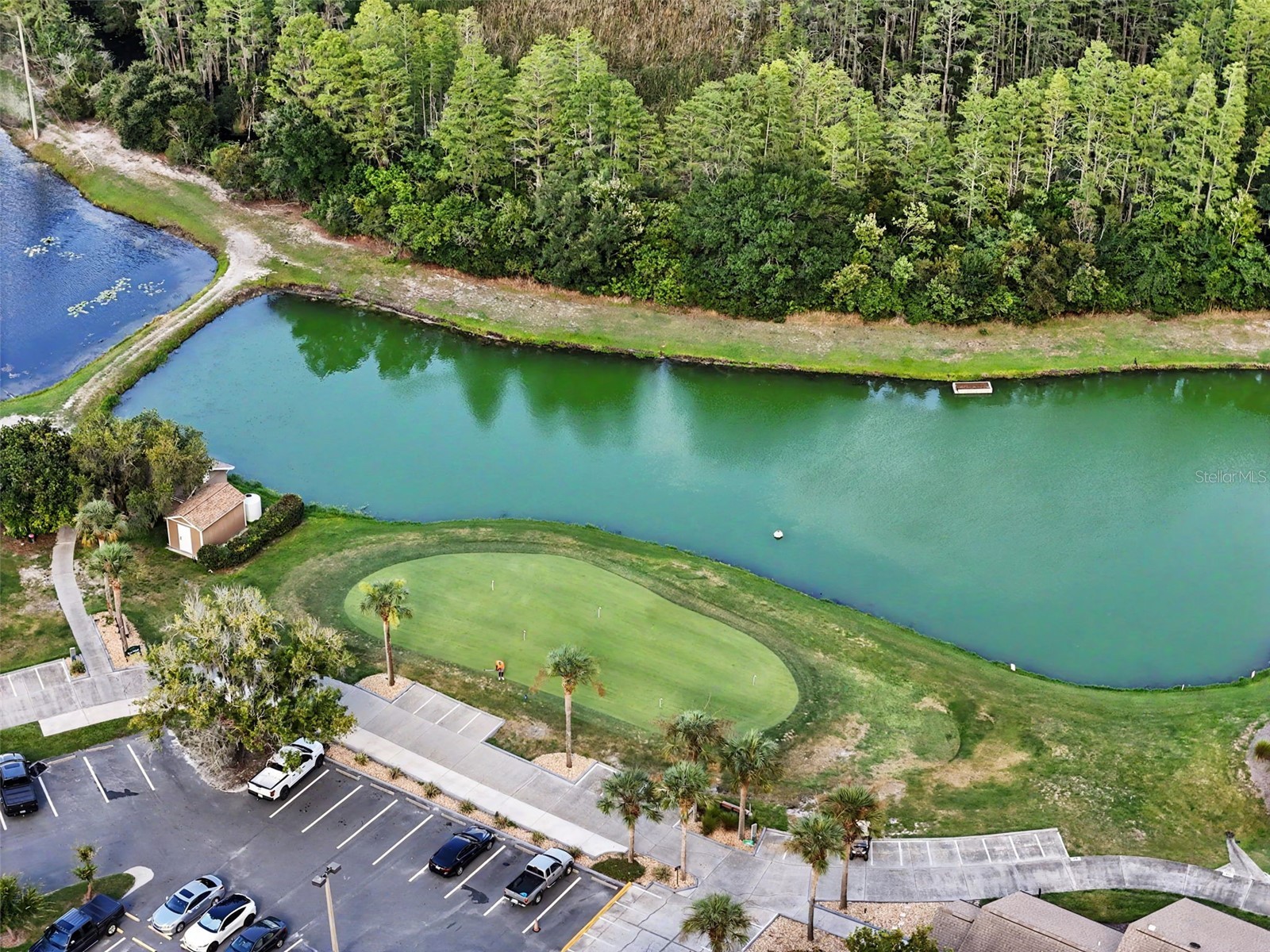 9189 Shadyside Lane Land O Lakes FL 34637 TB8532389 image42