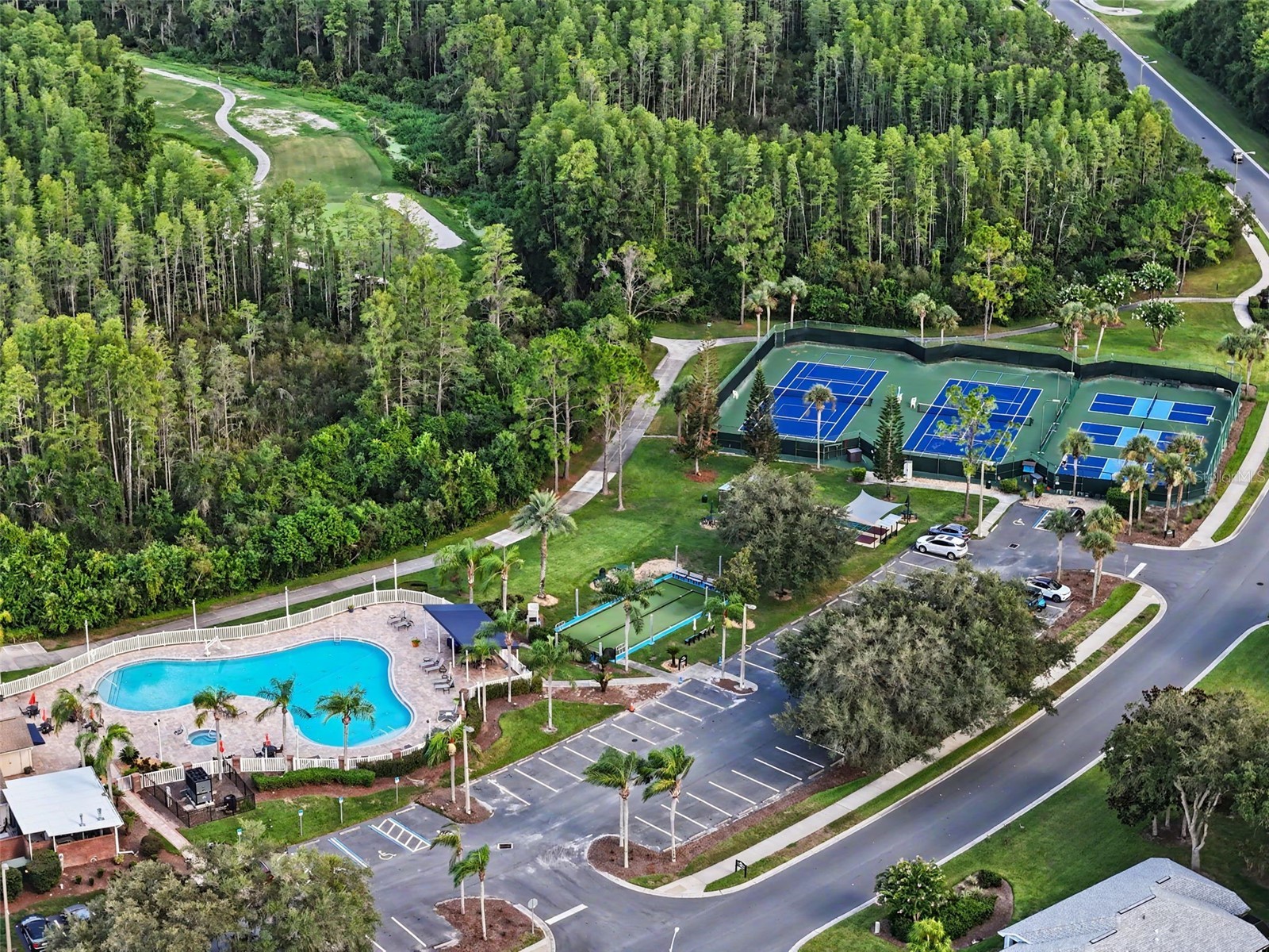9189 Shadyside Lane Land O Lakes FL 34637 TB8532389 image45