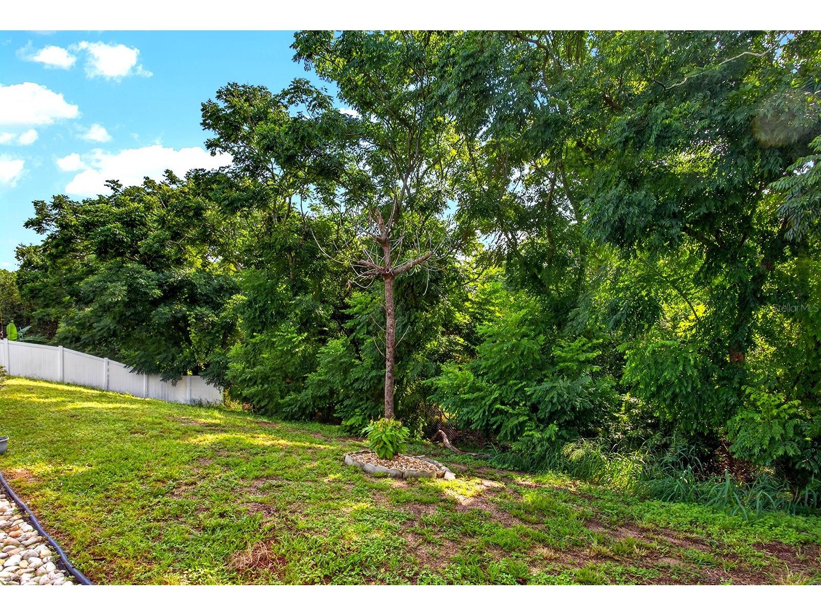 919 Arbor Hill Cir Minneola FL 34715 G5114510 image34