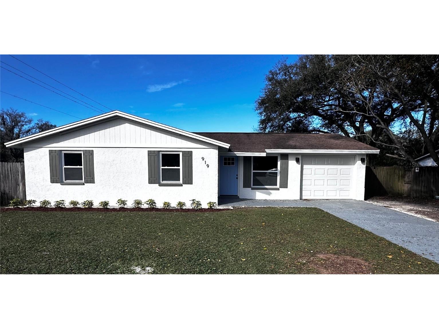 919 Balmoral Place Valrico FL 33594 T3504631 image1