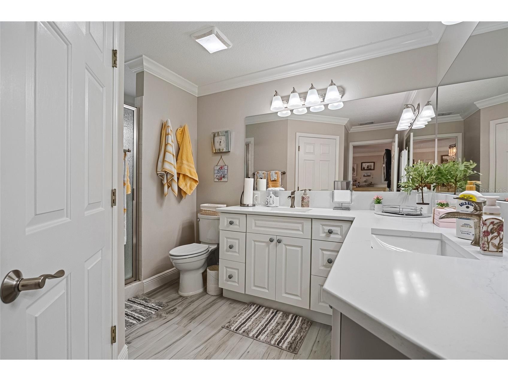 919 Camino Del Rey Drive The Villages FL 32159 G5099866 image16