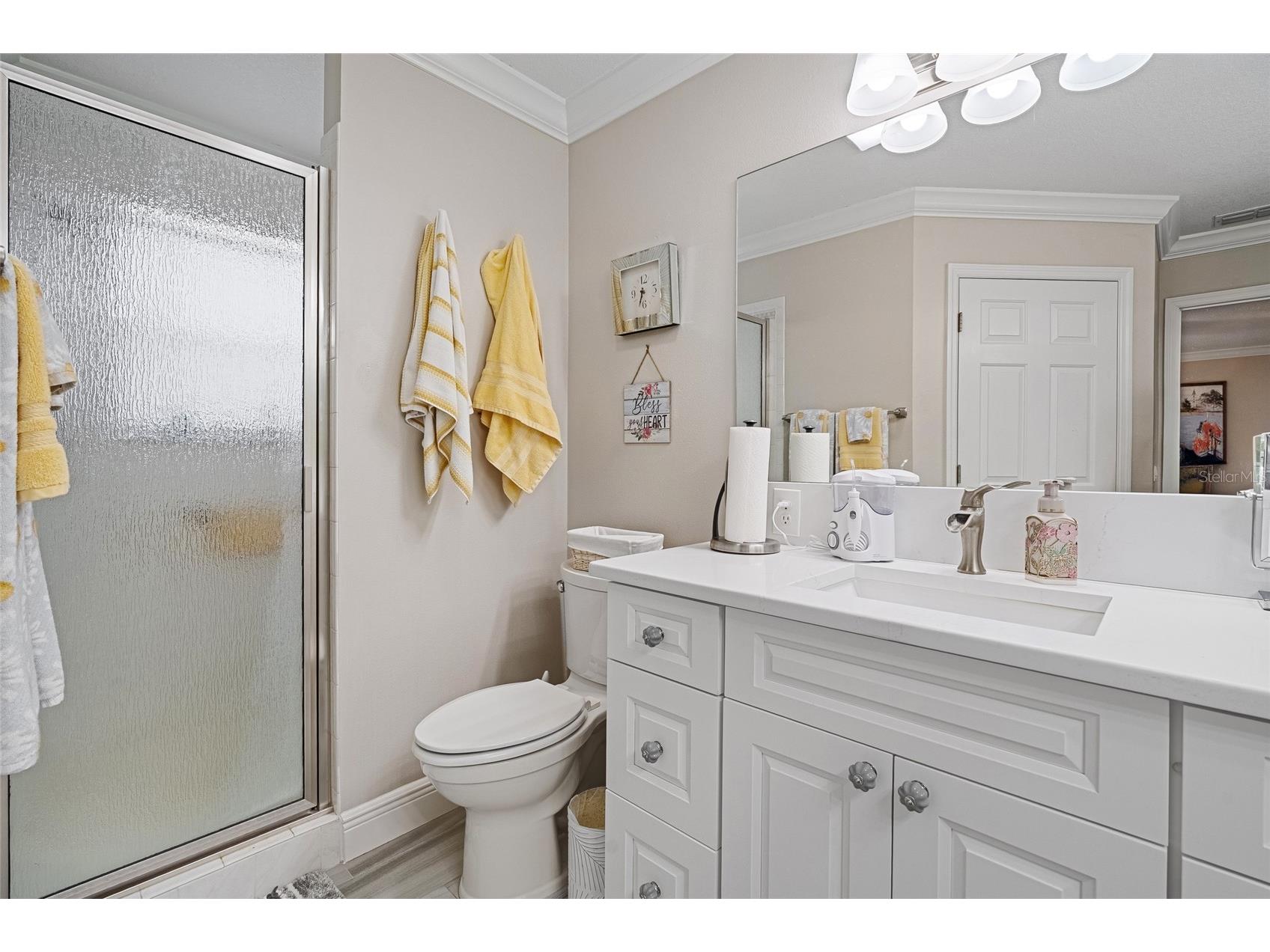 919 Camino Del Rey Drive The Villages FL 32159 G5099866 image17