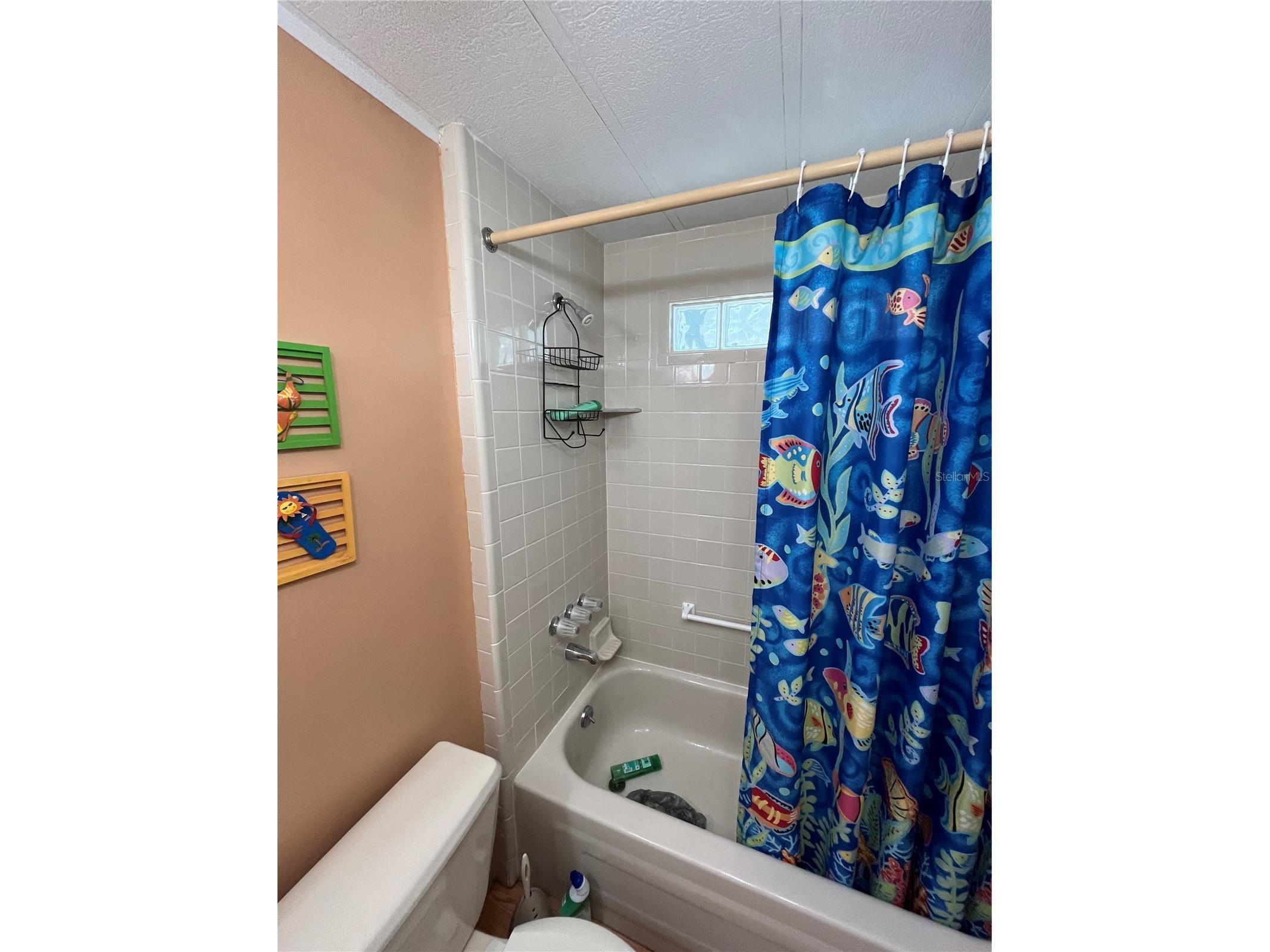 919 Cortina Boulevard Venice FL 34285 N6142345 image50