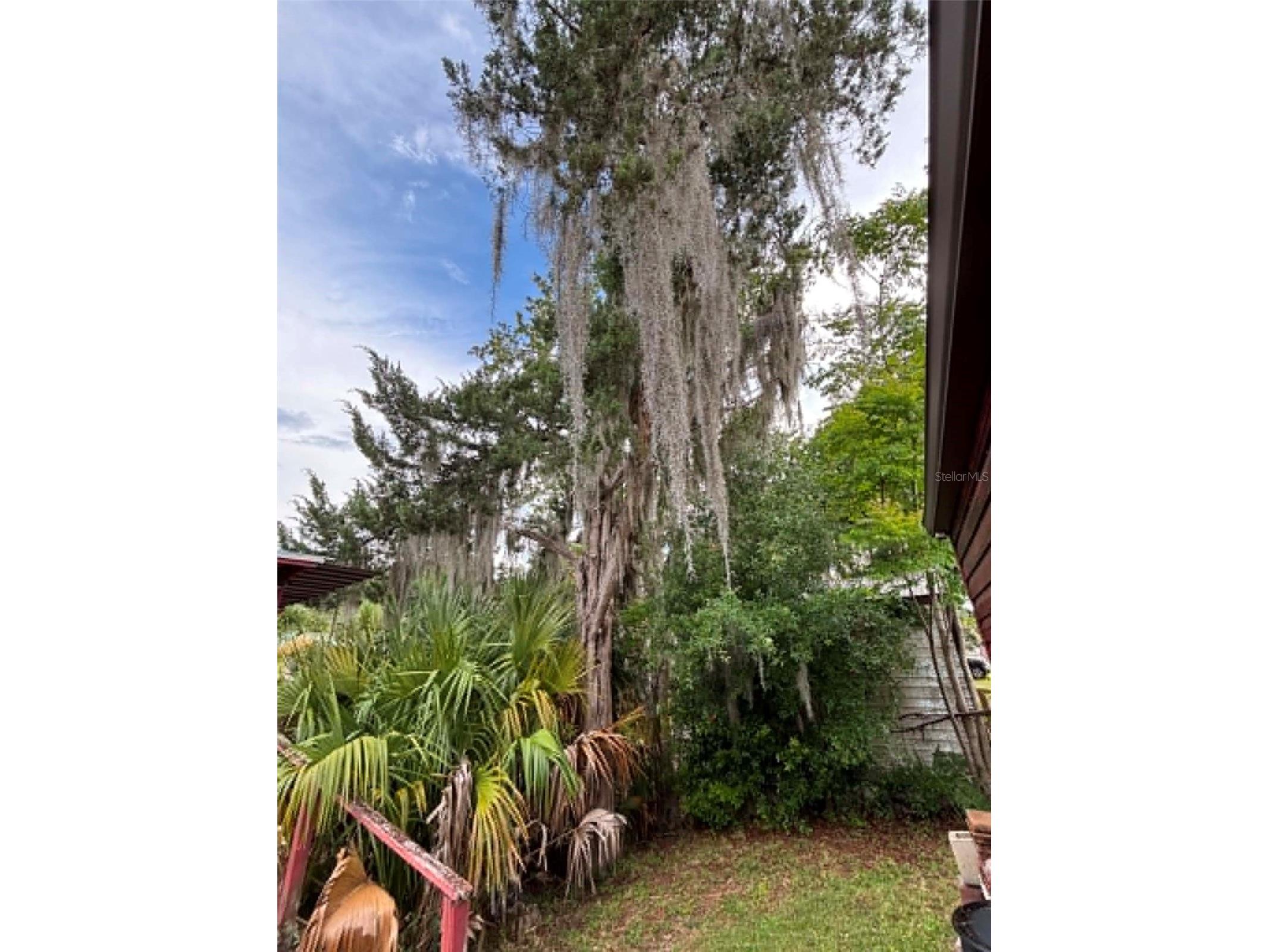 919 Cr 482d Lake Panasoffkee FL 33538 - LAKE PANASOFFKEE G5113665 image36