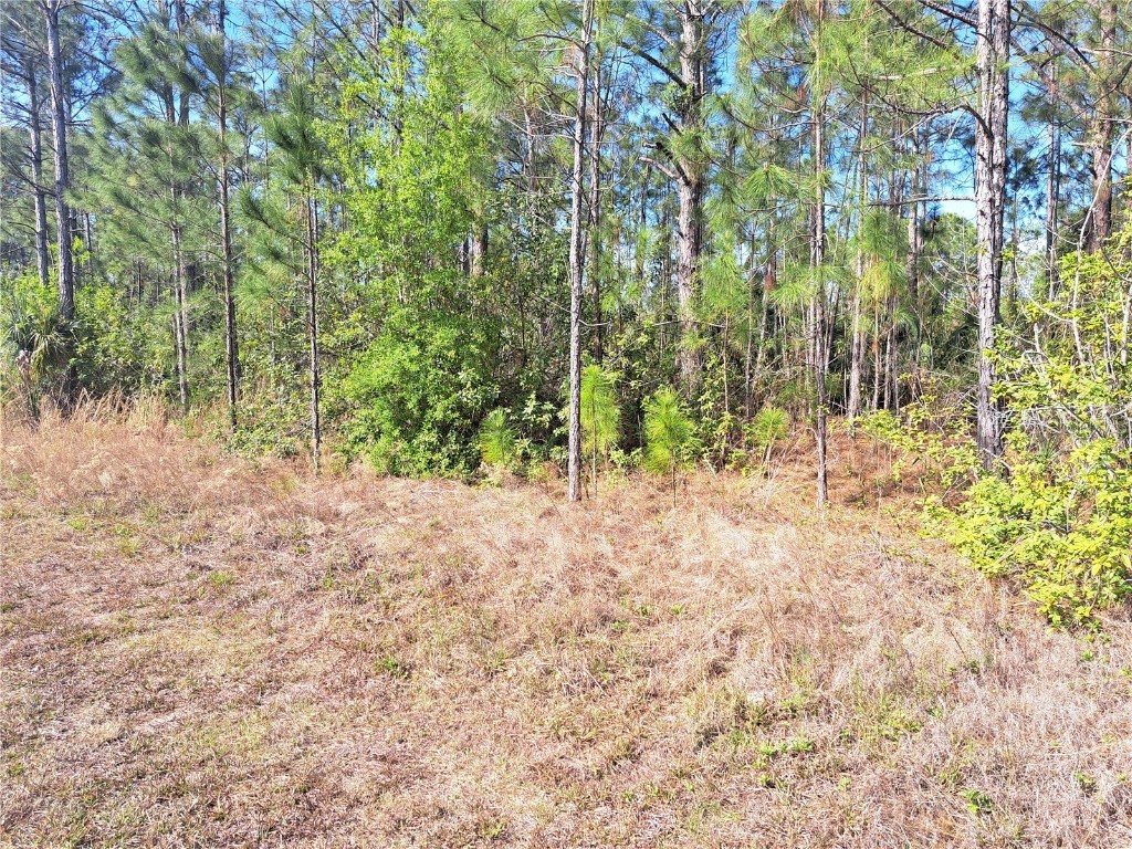 919 El Dorado Drive Indian Lake Estates FL 33855 O6293929 image4