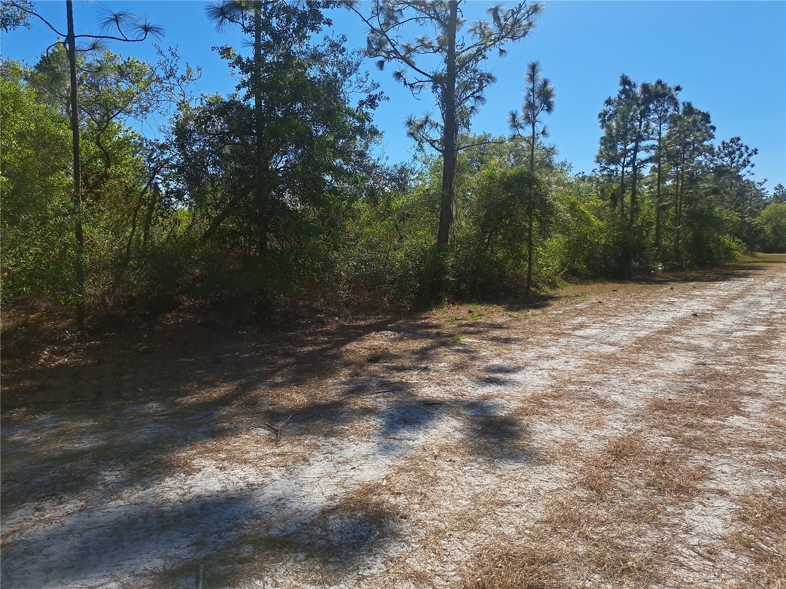 919 El Dorado Drive Indian Lake Estates FL 33855 O6388371 image5