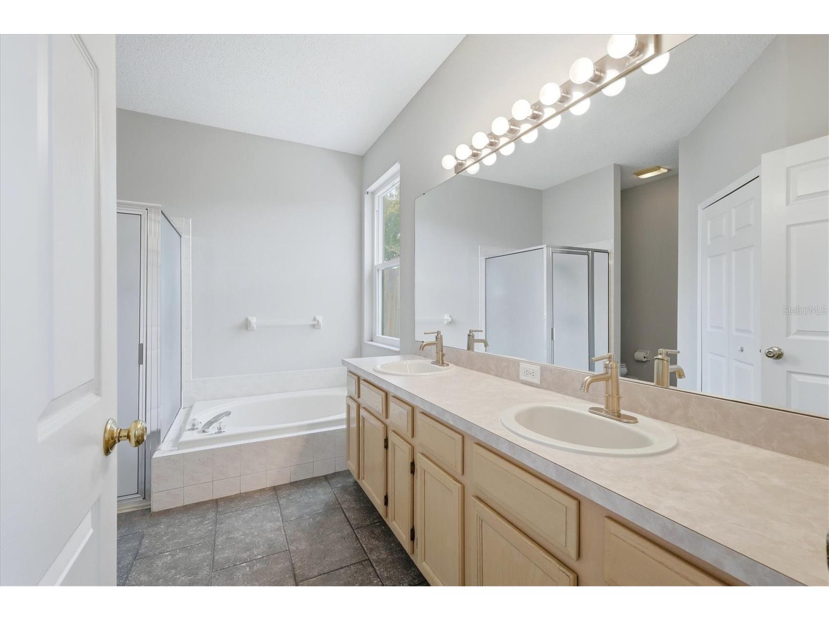 919 Grand Canyon Drive Valrico FL 33594 A4686693 image23