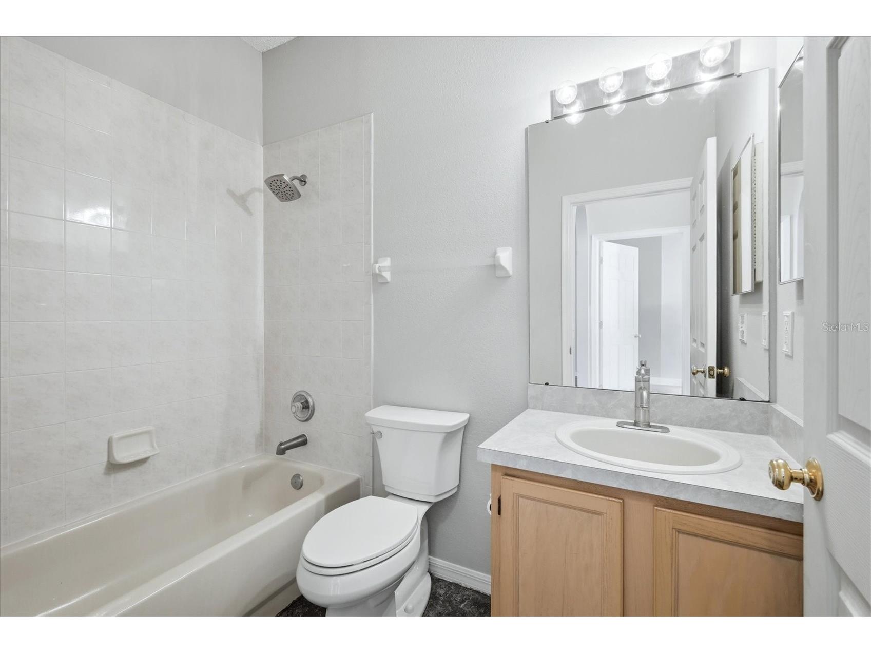 919 Grand Canyon Drive Valrico FL 33594 A4686693 image27