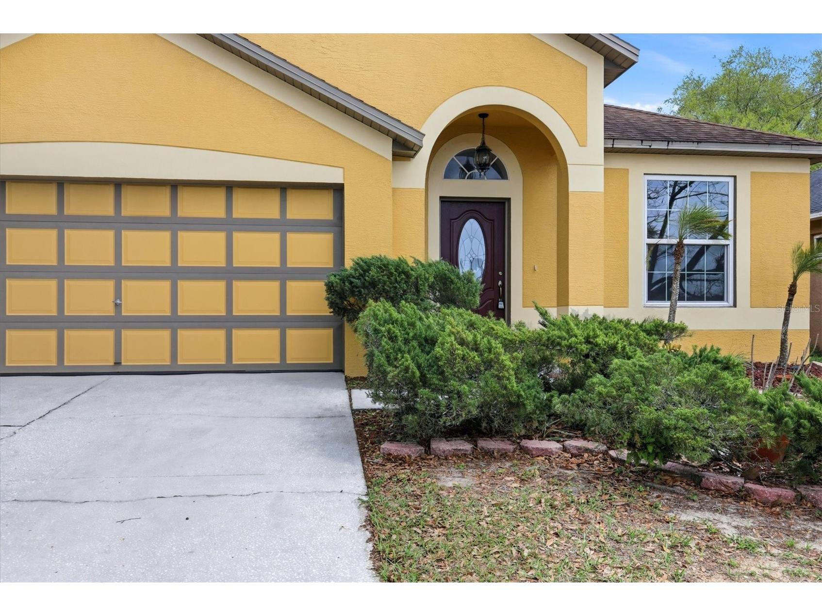 919 Grand Canyon Drive Valrico FL 33594 A4686693 image3